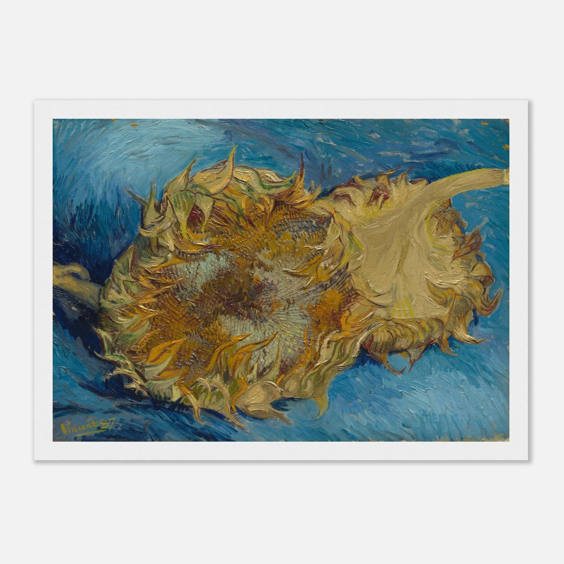 063d0d2a-ed79-4527-9730-069c62afdf98