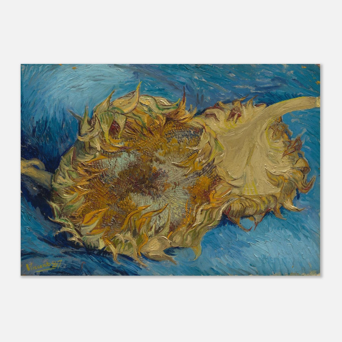 569c1f5e-c01f-4cd6-be06-c5df2e71573f