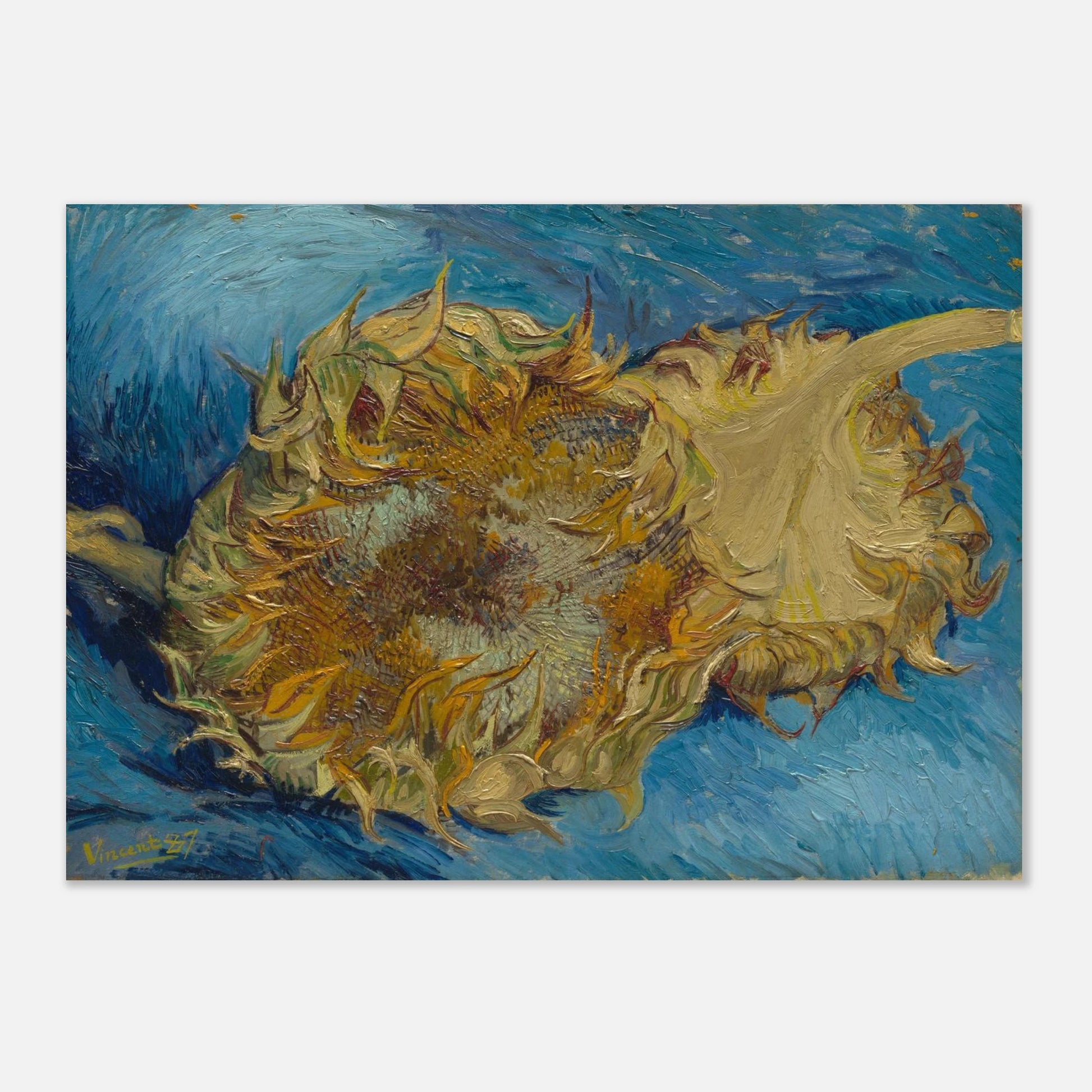 569c1f5e-c01f-4cd6-be06-c5df2e71573f