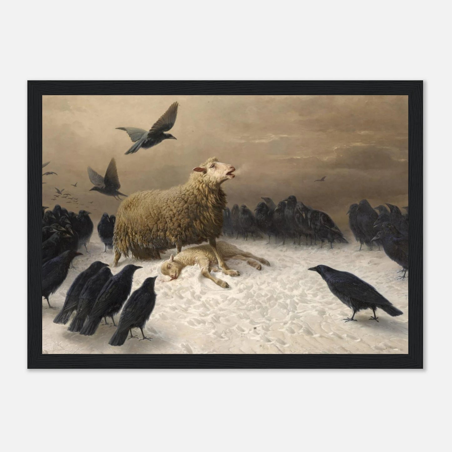 67b524ae-2094-4060-aac6-52cc0bcb9e27