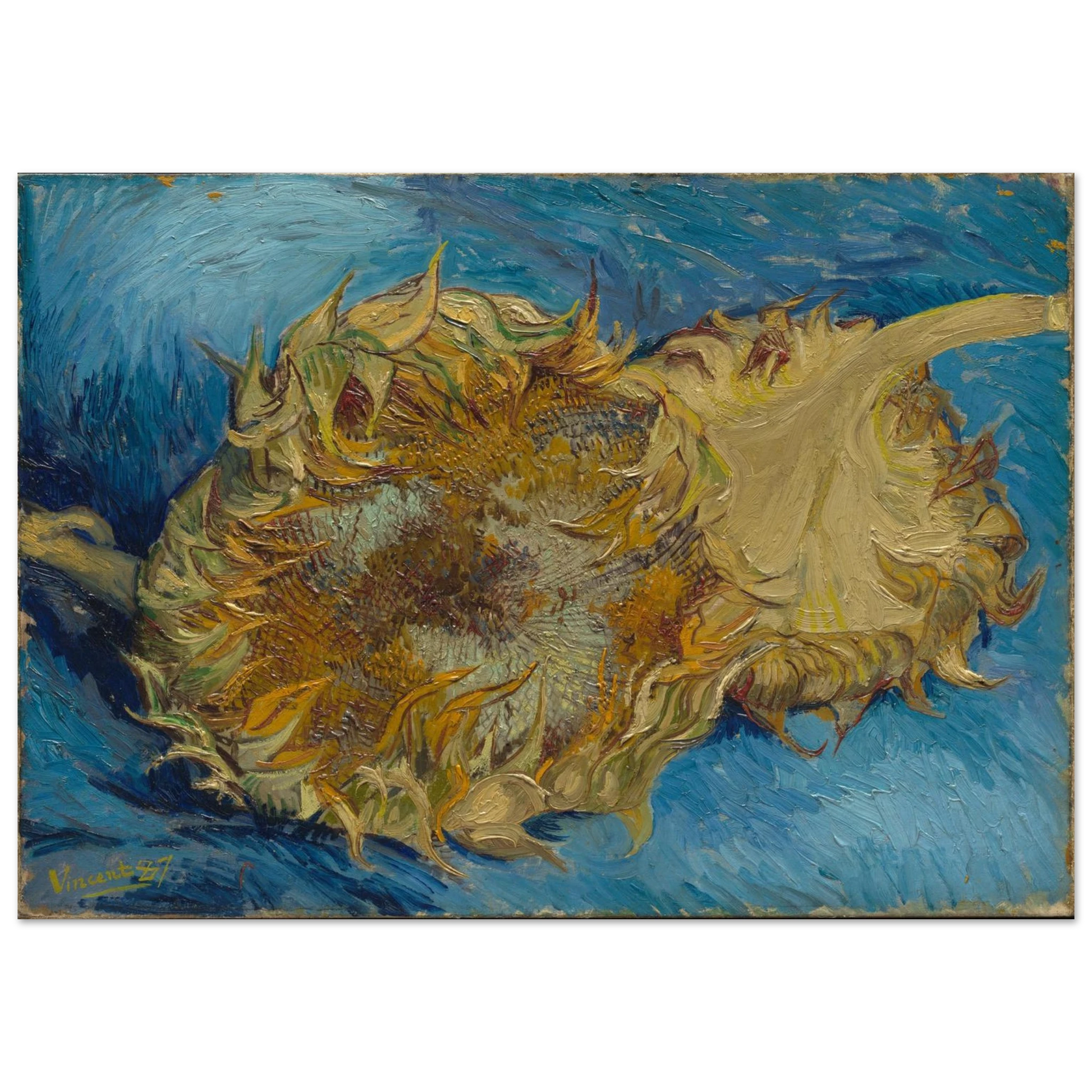 b5ad1362-d998-46b0-af28-316c72c4c4b5